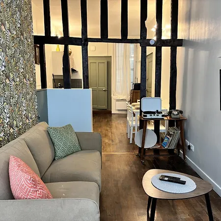 Cosy Vintage - Une Bulle De Fraicheur Apartment Troyes